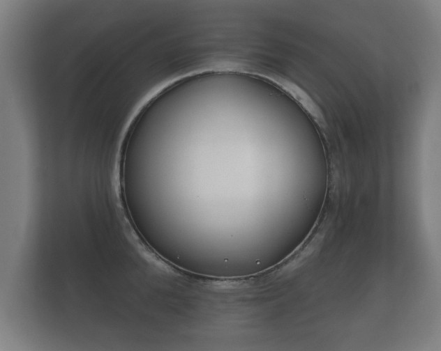 X0000112180904200908141323