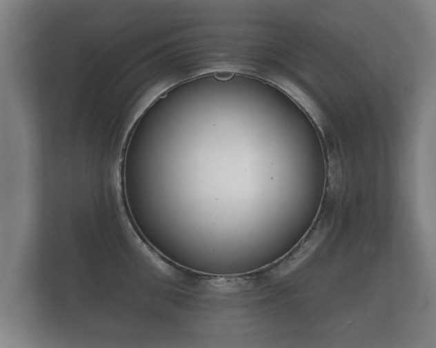 X0000112180906200908141323