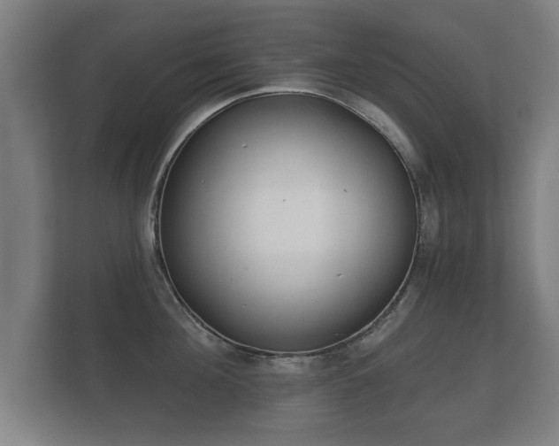 X0000112180908200908141323