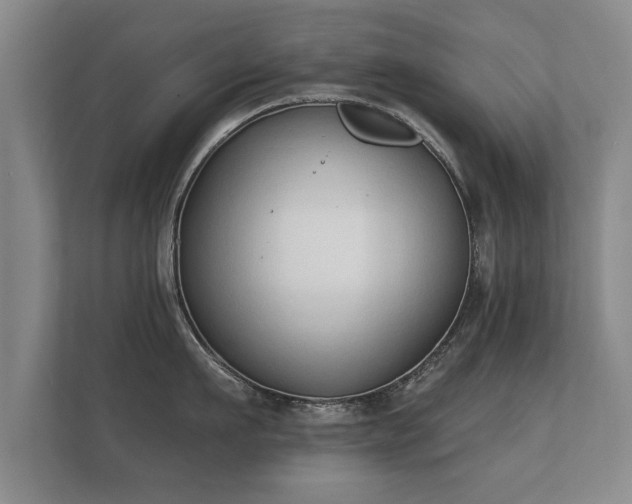 X0000112180911200908141323