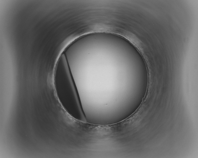 X0000112180912200908141323