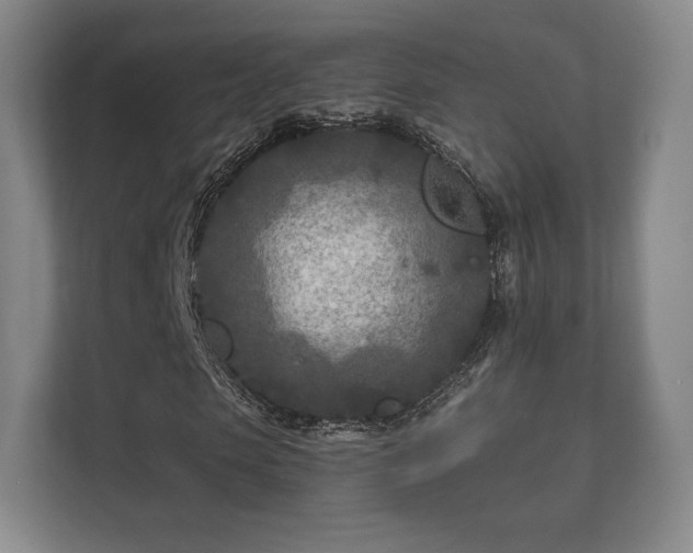 X0000112180913200908141322