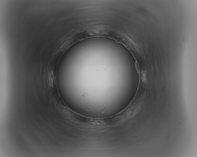 X0000112180915200908141322