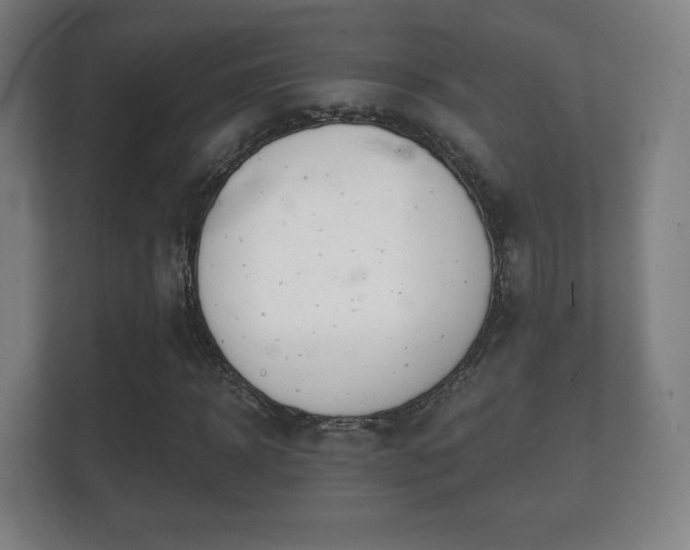 X0000112180918200908141322