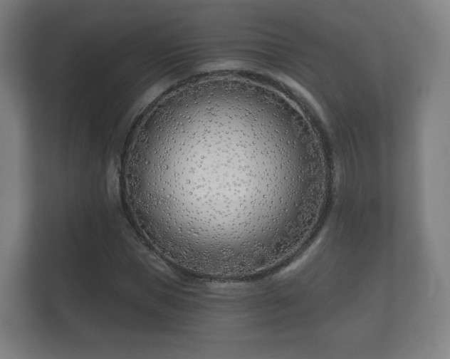 X0000112180921200908141322