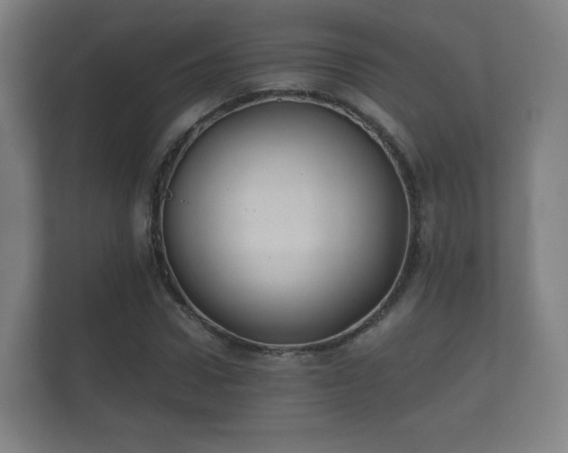 X0000112180922200908141323