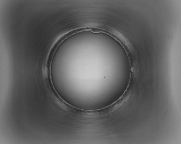 X0000112180924200908141323