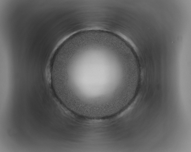 X0000112180925200908141323