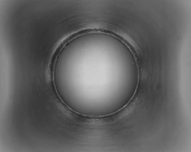 X0000112180927200908141323