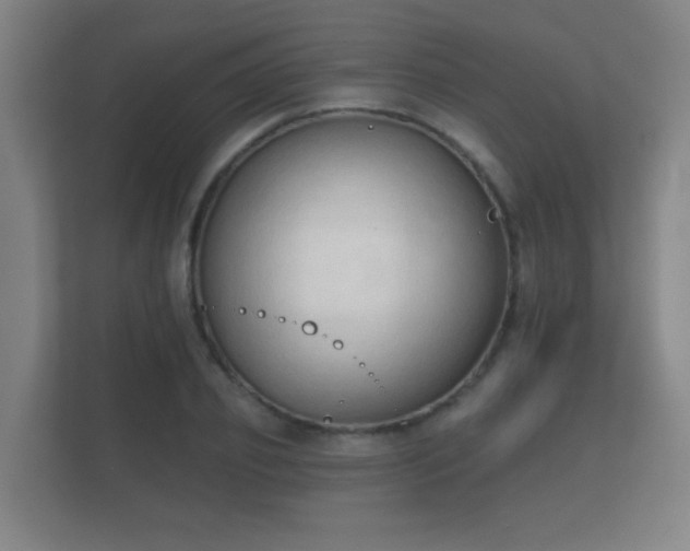 X0000112180933200908141323