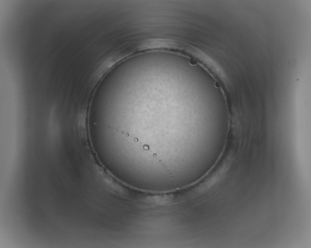 X0000112180937200908141323