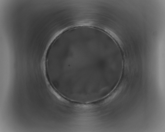 X0000112180941200908141323