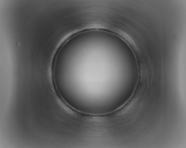 X0000112180942200908141323