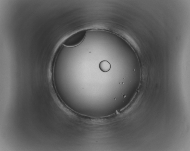 X0000112180944200908141323