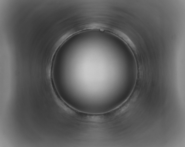 X0000112180946200908141323