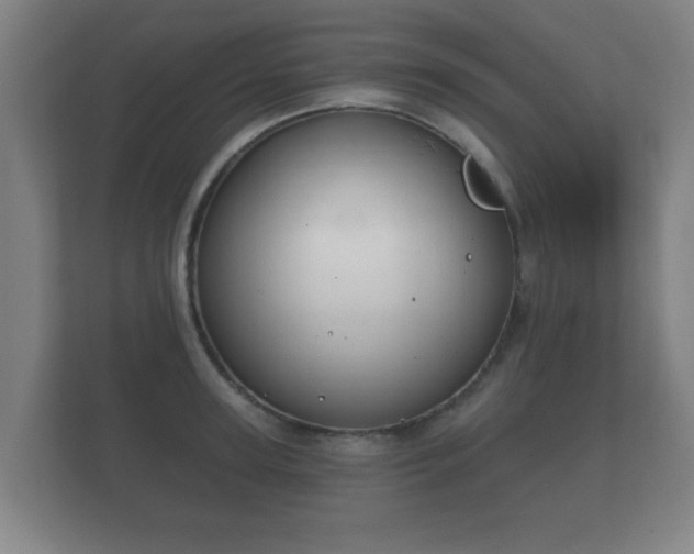 X0000112180947200908141323