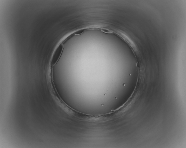 X0000112180948200908141323