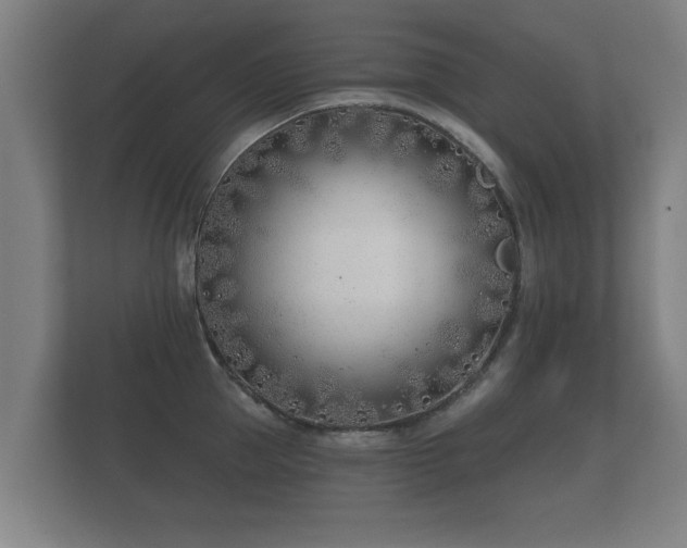 X0000112180953200908141323