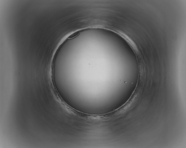 X0000112180956200908141323