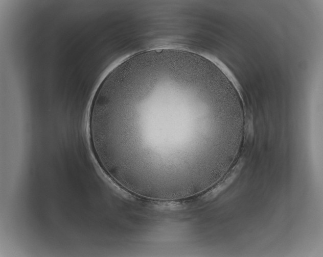 X0000112180957200908141323