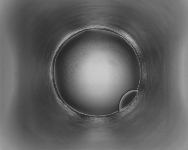 X0000112180958200908141323