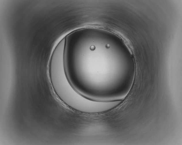 X0000112180960200908141323