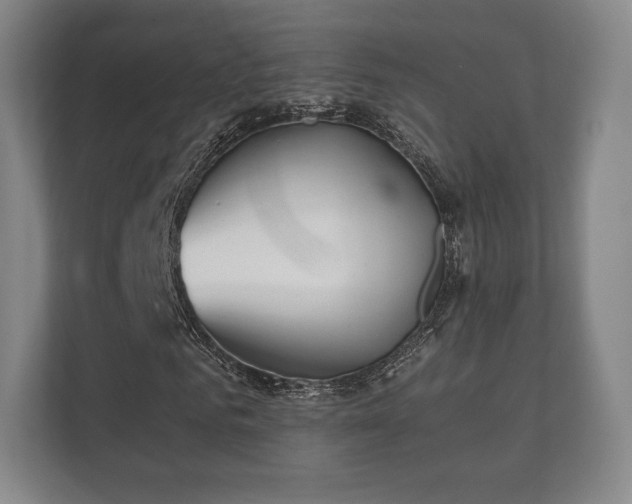 X0000112180961200908141322