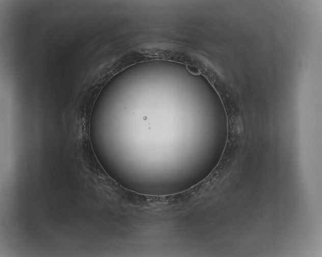 X0000112180965200908141322