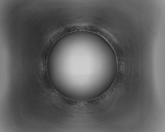 X0000112180966200908141322