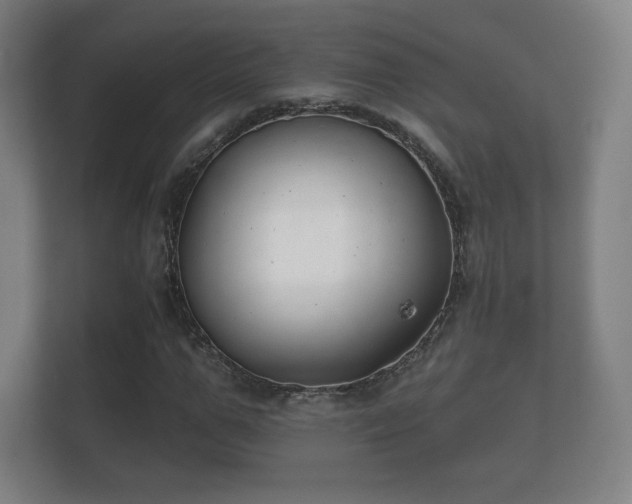 X0000112180967200908141322