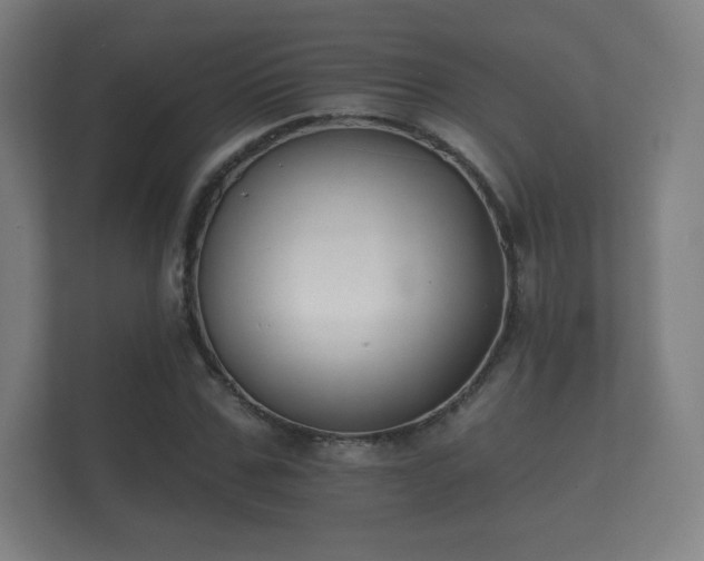 X0000112180971200908141322