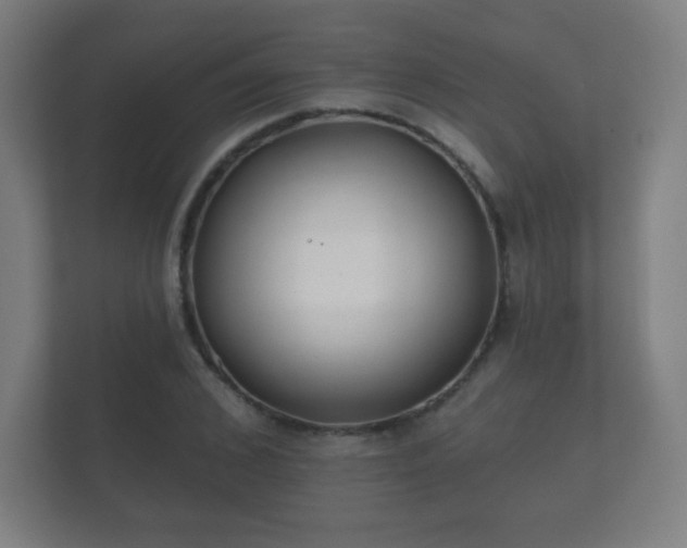 X0000112180976200908141322