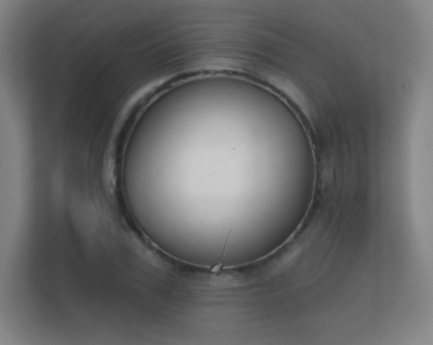 X0000112180979200908141322