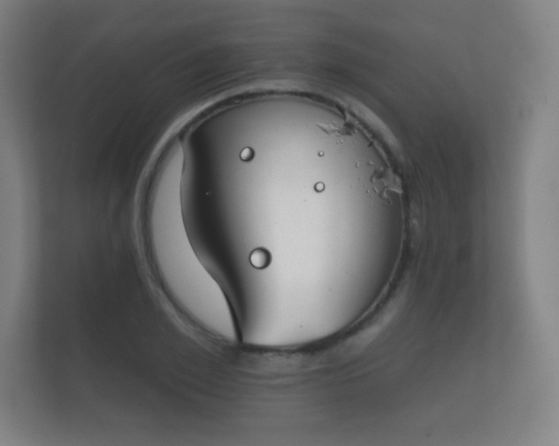 X0000112180981200908141322