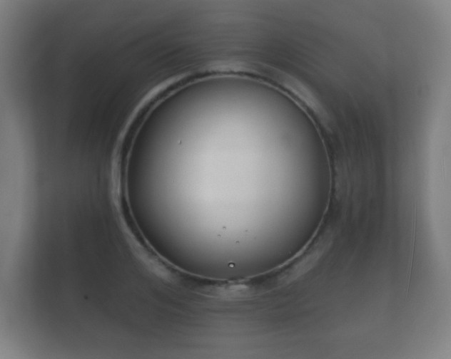 X0000112180984200908141322