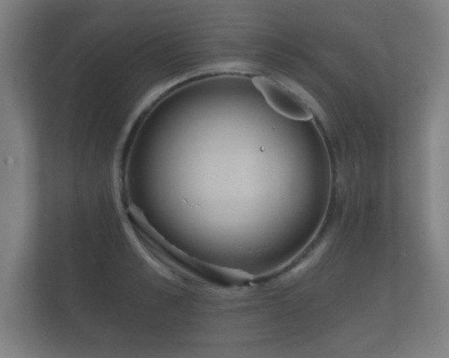 X0000112180989200908141322