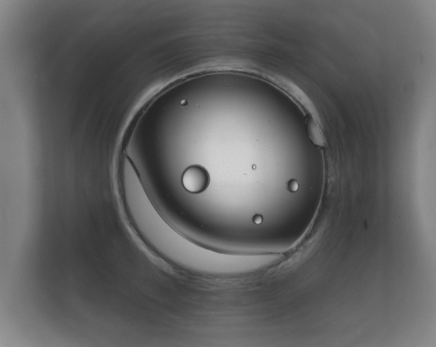 X0000112180997200908141322