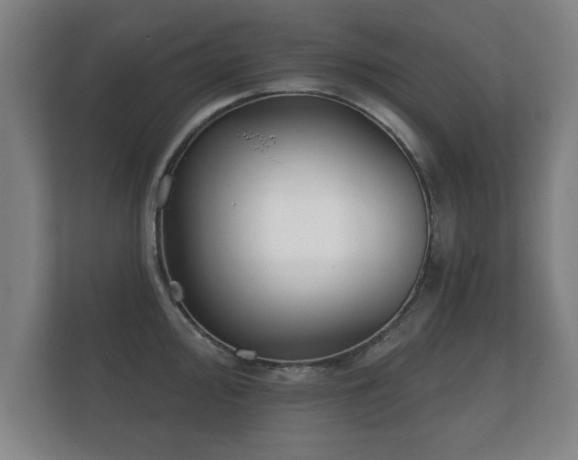 X0000112181000200908141322