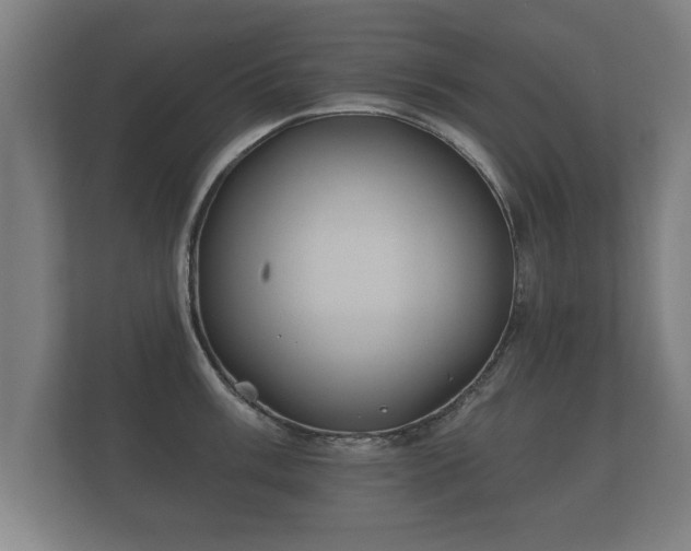 X0000112181003200908141322