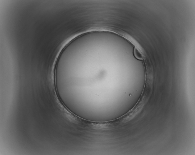 X0000112181004200908141322