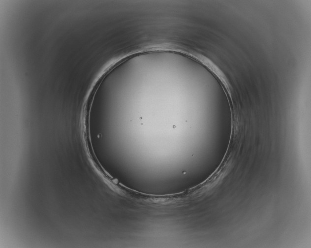 X0000112181005200908141322