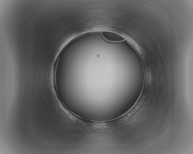 X0000112181006200908141322