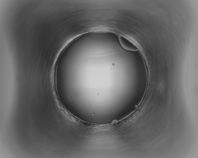 X0000112181008200908141322