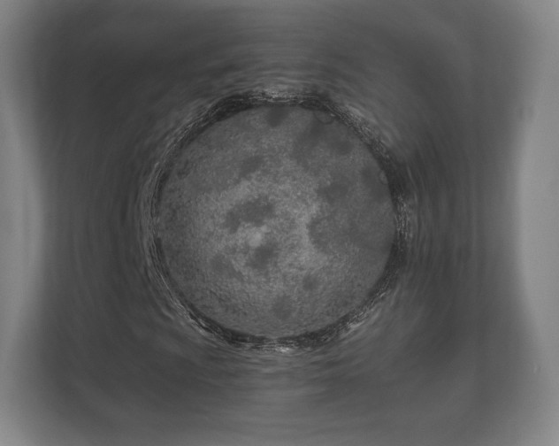 X0000112181009200908141321