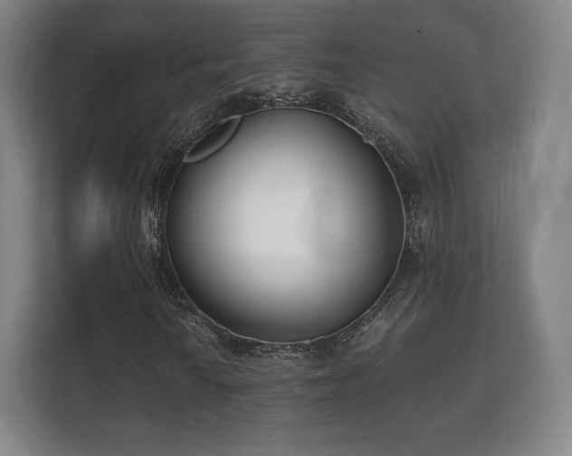 X0000112181010200908141321