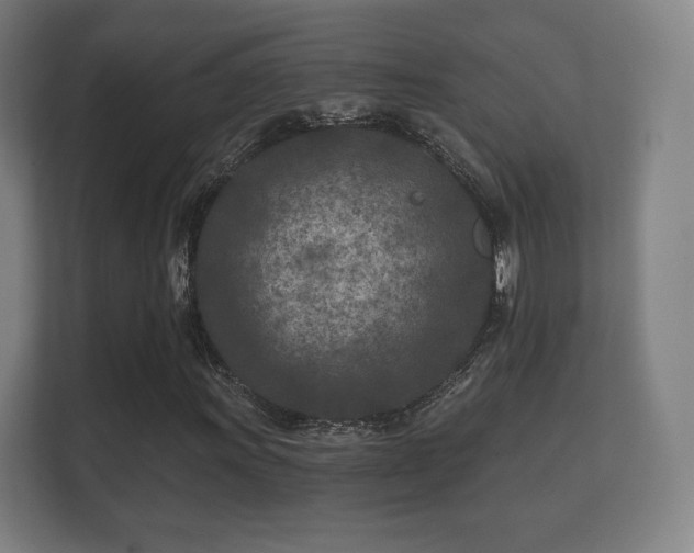 X0000112181011200908141321