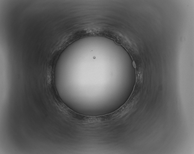 X0000112181012200908141321