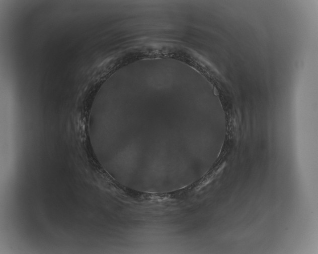 X0000112181013200908141321