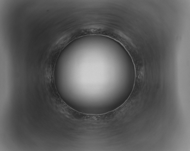 X0000112181014200908141321