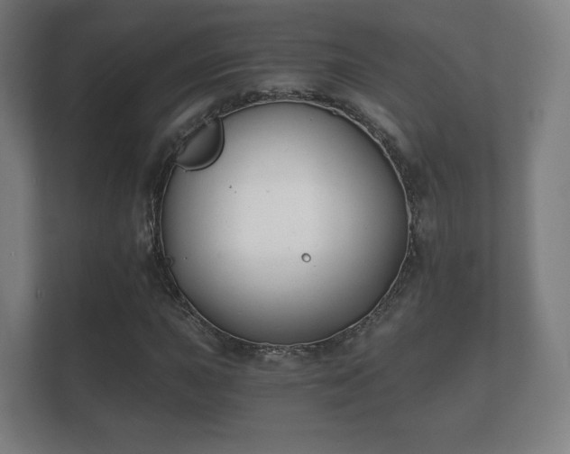 X0000112181015200908141321